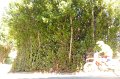 20220709-155626-[PAUxl]